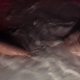 Hayley Williams’ <i>Flowers For Vases/Descansos </i>dreamily<i> </i>wades between grief and acceptance